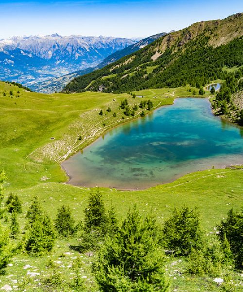 50579157273_b77db3f63f_c