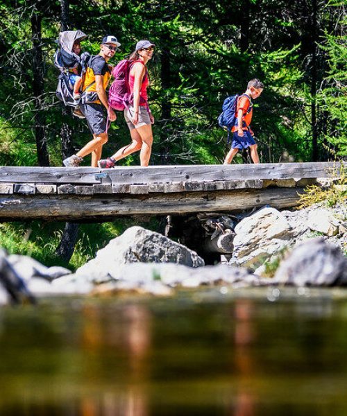 50582730721_bb689c3f50_c