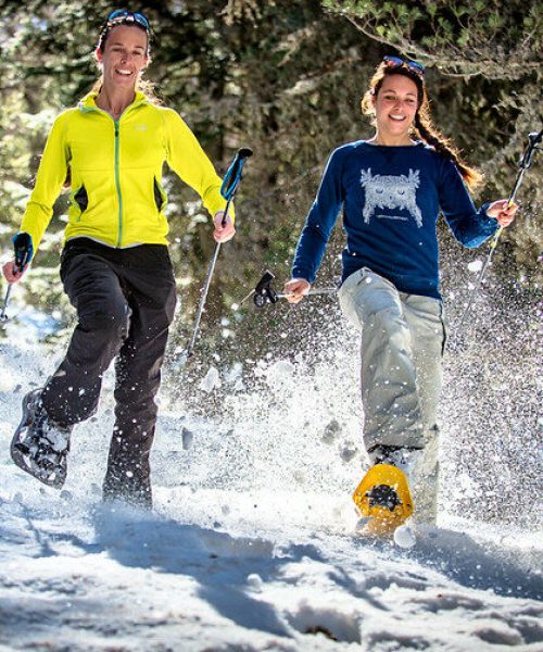 51290313512_9dacc7d4e7_c