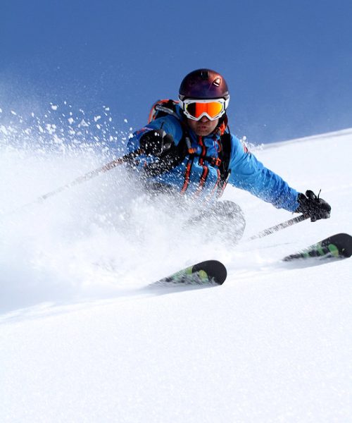 51307924112_cb1d5453fb_c