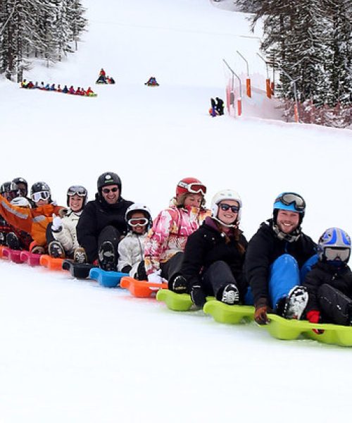 51308016417_2d19b70509_c