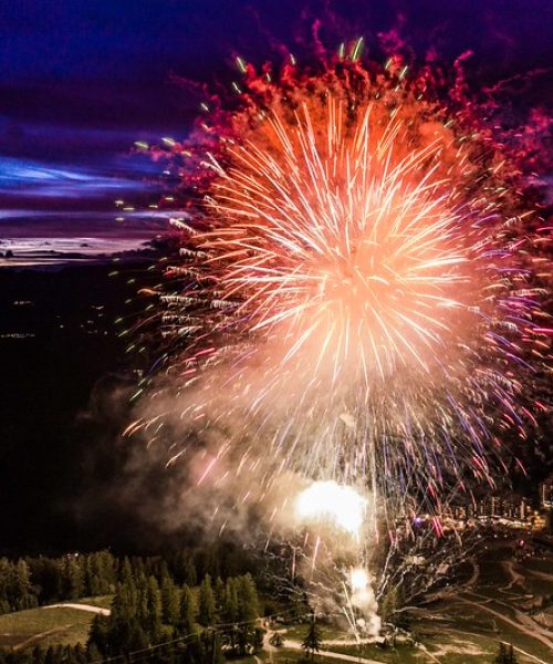 51313512569_0a62269c7b_c