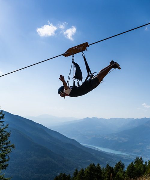 51929972388_599622a4a1_c