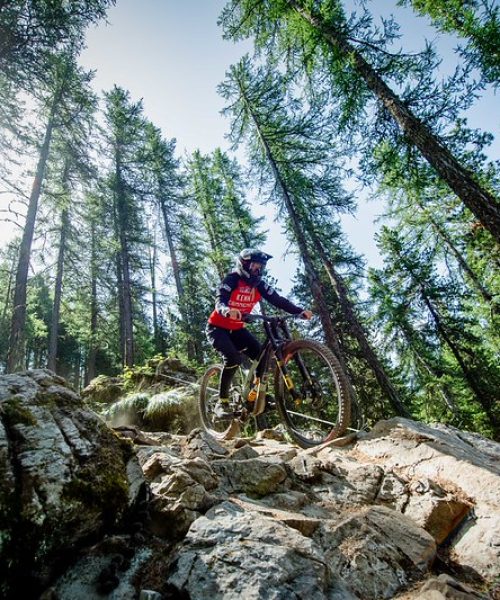 52111812876_95d510f36a_c