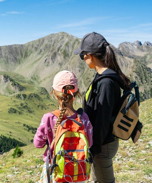 53560873696_d71eaa1b52_c